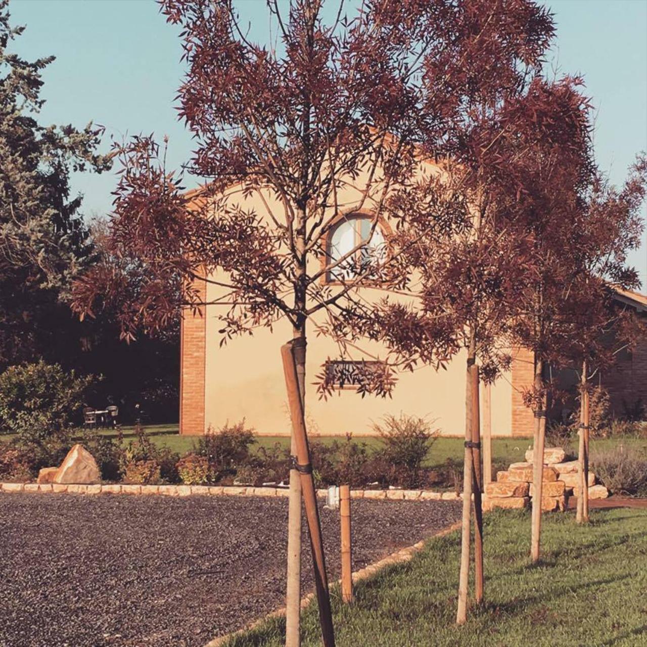 Agriturismo Bassanine Monticelli d'Ongina Exterior photo